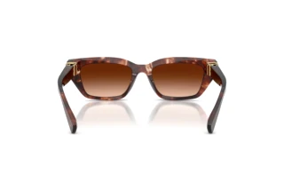 Widok z tyłu Dolce & Gabbana DG4532 (322274)