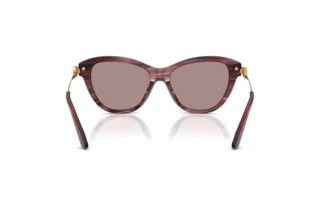Widok z tyłu Dolce & Gabbana DG4534 (3474LA)
