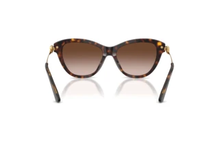 Widok z tyłu Dolce & Gabbana DG4534 (502/13)