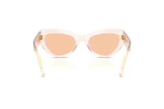 Widok z tyłu Dolce & Gabbana DG4536 (304173)