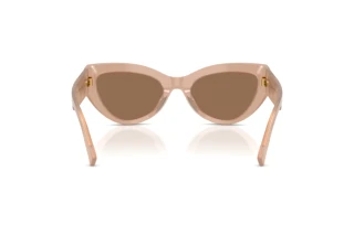 Widok z tyłu Dolce & Gabbana DG4536 (304273)