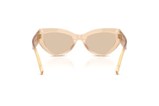 Widok z tyłu Dolce & Gabbana DG4536 (308993)