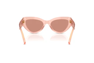 Widok z tyłu Dolce & Gabbana DG4536 (338496)