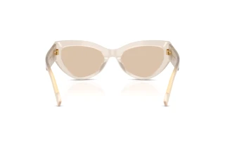 Widok z tyłu Dolce & Gabbana DG4536 (342093)