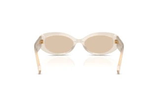 Widok z tyłu Dolce & Gabbana DG4537 (342093)