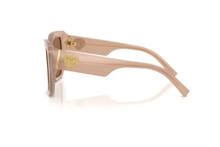 Widok z boku Dolce & Gabbana DG4538 (304273)