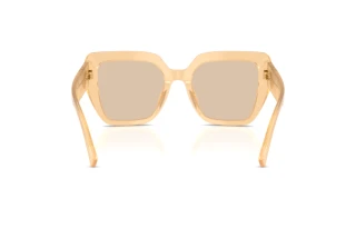 Widok z tyłu Dolce & Gabbana DG4538 (308993)