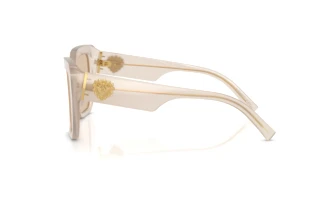 Widok z boku Dolce & Gabbana DG4538 (342093)