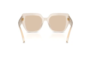Widok z tyłu Dolce & Gabbana DG4538 (342093)