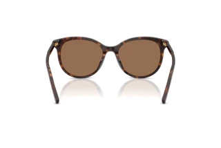 Widok z tyłu Dolce & Gabbana DG4540 (502/13)