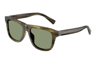Widok z przodu Dolce & Gabbana DG4545 (306682)