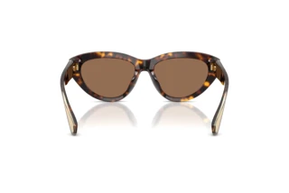 Widok z tyłu Dolce & Gabbana DG4558 (502/73)