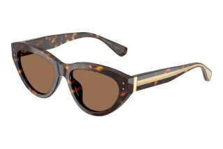 Widok z przodu Dolce & Gabbana DG4558 (502/73)