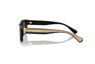 Widok z boku Dolce & Gabbana DG4560 (501/87)