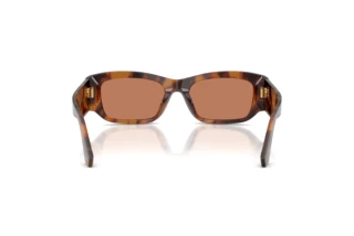 Widok z tyłu Dolce & Gabbana DG4564 (3497/3)