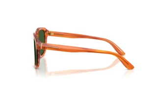 Widok z boku Dolce & Gabbana DG4566 (34839A)