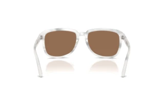 Widok z tyłu Dolce & Gabbana DG4566 (349573)