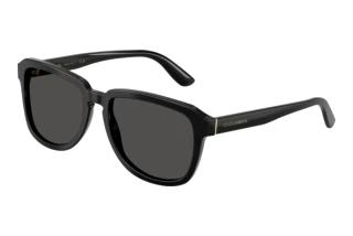 Widok z przodu Dolce & Gabbana DG4566 (501/87)