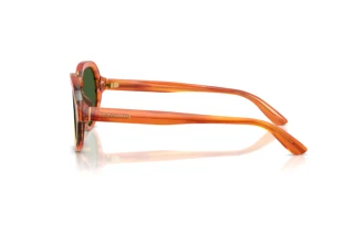Widok z boku Dolce & Gabbana DG4567 (348371)