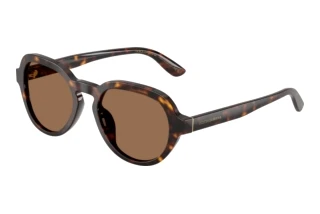 Widok z przodu Dolce & Gabbana DG4567 (502/73)