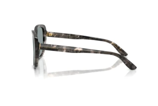 Widok z boku Dolce & Gabbana DG4569 (3172/1)