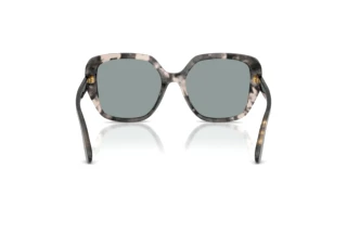 Widok z tyłu Dolce & Gabbana DG4569 (3172/1)