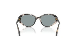 Widok z tyłu Dolce & Gabbana DG4570 (3172/1)