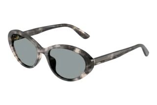 Widok z przodu Dolce & Gabbana DG4570 (3172/1)