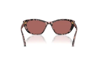 Widok z tyłu Dolce & Gabbana DG4571 (347669)