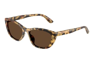 Widok z przodu Dolce & Gabbana DG4571 (512/73)