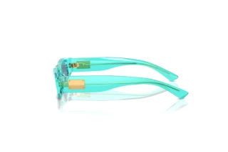 Widok z boku Dolce & Gabbana DX4005 (332280)