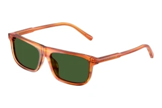 Widok z przodu Dolce & Gabbana DX4009 (348371)