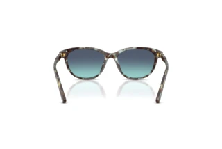 Widok z tyłu Dolce & Gabbana DX4010 (34434S)