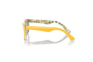 Widok z boku Dolce & Gabbana DX4427 (34437J)