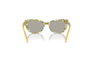 Widok z tyłu Dolce & Gabbana DX4427 (34437J)