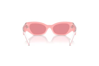 Widok z tyłu Dolce & Gabbana DX6003 (30987V)