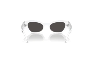 Widok z tyłu Dolce & Gabbana DX6003 (331287)