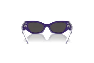 Widok z tyłu Dolce & Gabbana DX6003 (333587)