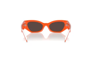 Widok z tyłu Dolce & Gabbana DX6003 (33386Q)