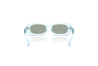 Widok z tyłu Dolce & Gabbana DX6006U (33466J)