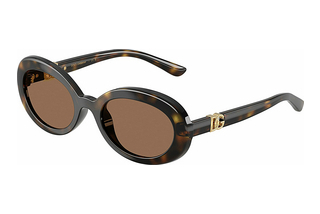 Dolce & Gabbana DX6007U 502/73 Dark BrownHavana