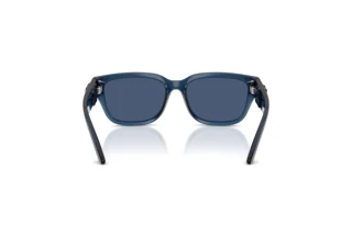 Widok z tyłu Dolce & Gabbana DX6009 (300980)