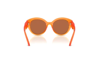 Widok z tyłu Dolce & Gabbana DX6010 (33887J)