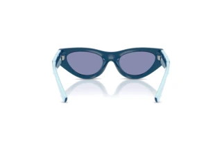 Widok z tyłu Dolce & Gabbana DX6012 (30151U)