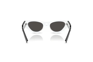 Widok z tyłu Dolce & Gabbana DX6012 (345787)