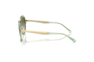 Widok z boku Emporio Armani EA2146 (33638E)