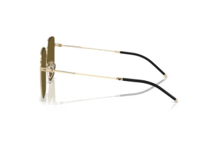 Widok z boku Emporio Armani EA2159D (301373)