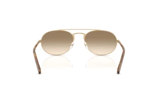 Widok z tyłu Emporio Armani EA2171 (300213)
