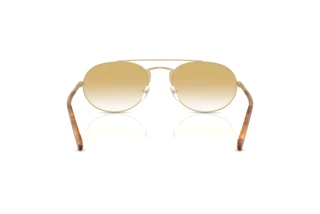 Widok z tyłu Emporio Armani EA2171 (30022Q)