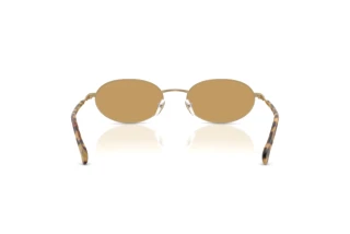 Widok z tyłu Emporio Armani EA2175 (300273)